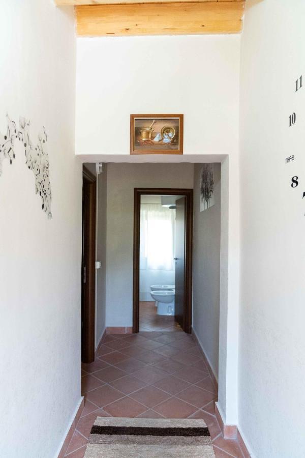 B&B Aria Antica Verbicaro ภายนอก รูปภาพ