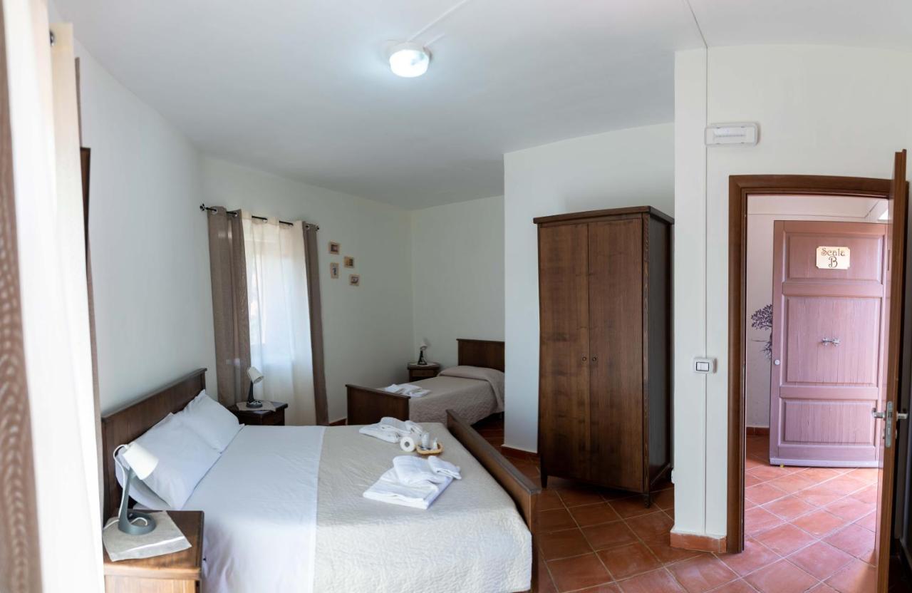 B&B Aria Antica Verbicaro ภายนอก รูปภาพ